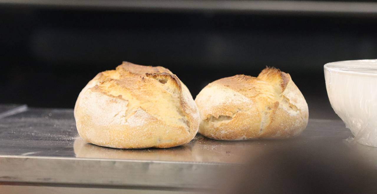 Modulo 1 - Teglia e Focaccia